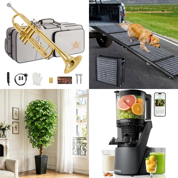 Source photograph for Pallet – Home & Garden – Trumpets, Cold Press Juicers, Sanders, Shower Systems