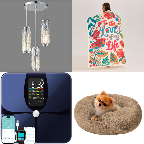 Source photograph for Pallet – Mixed Home & Pet Supplies – Pendant Lights, Throw Blankets, Smart Scales, Dog Beds