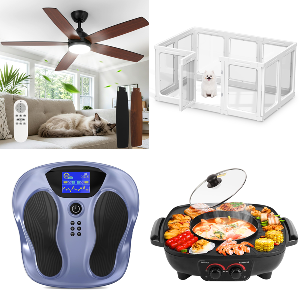 Source photograph for Pallet – Home Appliances – Garment Steamers, Food Processors, Hot Plates, Ceiling Fans, Water Pumps