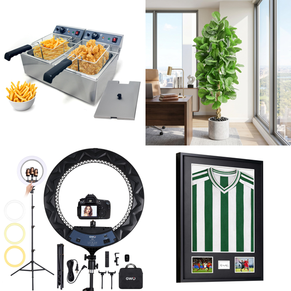 Source photograph for Pallet – Home & Commercial Equipment – Deep Fryers, Ring Lights, Ceiling Fans, Artificial Plants