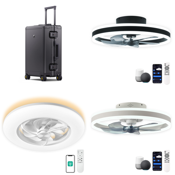 Source photograph for Pallet – Travel & Technical Goods – Suitcases, Smart Ceiling Fans, Electric Hoist, Dog Ramp