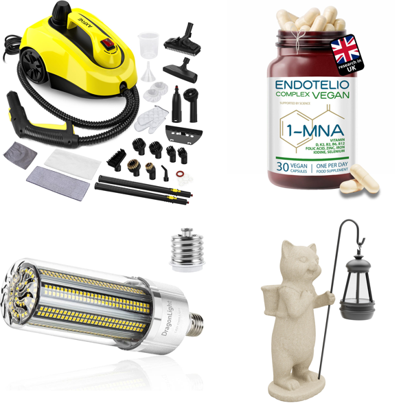 Source photograph for Pallet – Mixed Goods – Steam Cleaners, LED Bulbs, Solar Garden Lights, Storage Bins