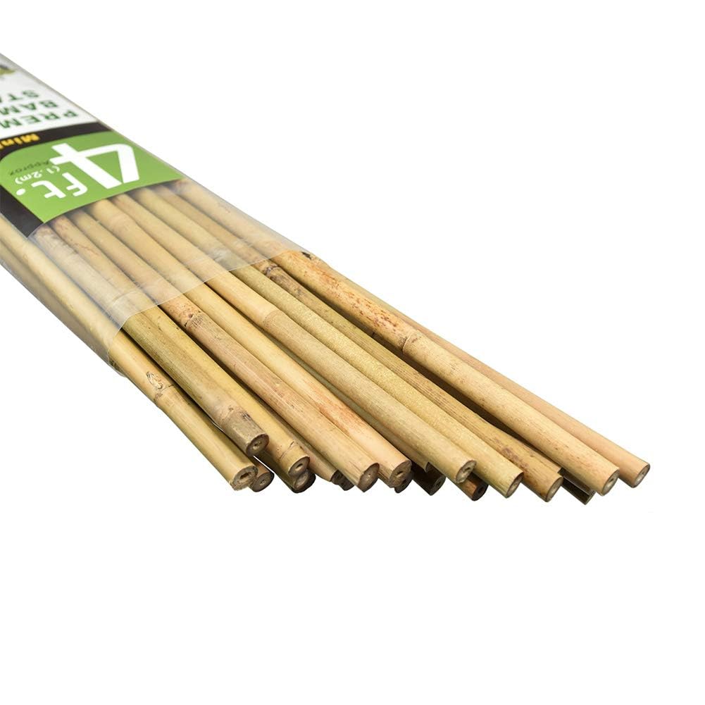 Source photograph for Pallet – Garden Supports – Bamboo Canes, Plant Stakes, Tomatoes, Trees, Beans